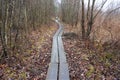 Unmarked wooden walkway through mud with person Royalty Free Stock Photo