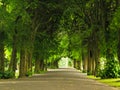 Sidewalk walking pavement in park. nature landscape. Royalty Free Stock Photo