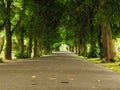 Sidewalk walking pavement in park. nature landscape. Royalty Free Stock Photo