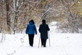 sidewalk in a winter park and walking people Royalty Free Stock Photo