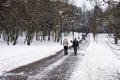 A sidewalk in a winter park and walking people Royalty Free Stock Photo