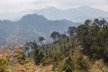 Sideway Landscape of The Road to Umphang. Mae Hong Son Province, Thailand