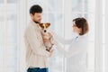 Sideways shot of veterinary woman going to examine sick dog. Jack russell terrier dog and his owner come to vet clinic, need help Royalty Free Stock Photo