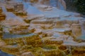 Sideways view of Canary Spring and terraces in the Mammoth Hot Spring area of Yellowstone National Park