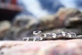 sidewinder in focus with blurred rock background