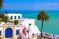Sidi Bou Said - Mediterranean Sea and Palm Tree Royalty Free Stock Photo