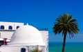 Sidi Bou Said - Mediterranean Sea and Palm Tree Royalty Free Stock Photo