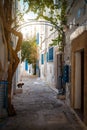 Sidi Bou Said In Tunis, Tunesia Royalty Free Stock Photo