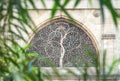 Sidi Saiyyed Mosque at Ahmedabad , Gujarat, India