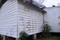 Siding on Home with Mold and Mildew