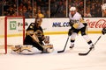 Sidney Crosby -- Tuukka Rask