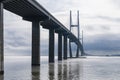 Sidney Lanier Bridge near Brunswick Georgia is a massive cable-stayed engineering marvel