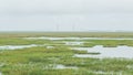 Sidney Lanier suspension bridge of Brunswick, Georgia overlooking the salt marshes of Jekyll Island