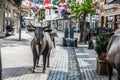 Siegen shopping street with watercourse animals