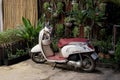 Honda`s small elegant motor scooter parked near a wall decorated with flowerpots with