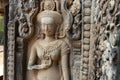 Siem Reap, Cambodia - January 30, 2017: Mural of the woman Apsara on wall Angkor Wat temple complex, close up