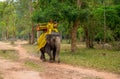 Siem Reap, Cambodia - 28 March 2018: Man in traditional cambodian clothes rides an elephant in forest.