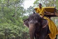 Siem Reap, Cambodia - 28 March 2018: Young man in traditional yellow clothes rides a big elephant.