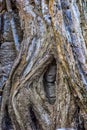 Nature versus man. A hidden smiling face, swallowed up by huge s Royalty Free Stock Photo