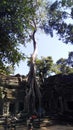 Siem Reap Cambodia Temple