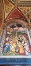 Siena Cathedral, the Dome, view from inside. Libreria Piccolomini detail