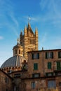 Siena Cathedral and Houses - Tuscany Italy Royalty Free Stock Photo