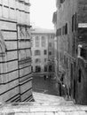 Siena, Cathedral stairway Royalty Free Stock Photo