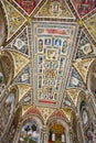 Siena Duomo Library