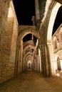 Beautiful interior view of the San Galgano abbey in summer at night