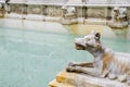 SIENNA, TUSCANY/ITALY - MAY 18 : Detail of the fountain in the m Royalty Free Stock Photo