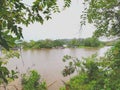 Sierpe port. Mangrove. Ramsar. Ecotourism Royalty Free Stock Photo