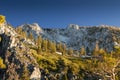 Sierra Alpine Meadow Royalty Free Stock Photo
