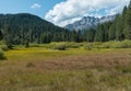 The Sierra Buttes from an open meadow Royalty Free Stock Photo