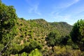 Sierra de Andujar Natural Park, Jaen province, Spain Royalty Free Stock Photo