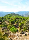 Sierra de Andujar Natural Park, Jaen province, Spain Royalty Free Stock Photo