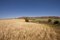 Sierra de Armantes, a small desert and wheat fields