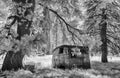 Old dilapidated travel trailer, pastoral scenery, infrared