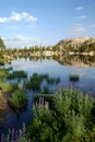 Sierra Nevada Lake Reflection Royalty Free Stock Photo