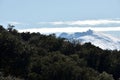 Sierra Nevada with snow view from the natural park of the Sierra de HuÃÂ©tor in Granada