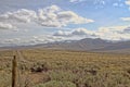 Sierra Neveda Range from Great Basin near Doyle CA Royalty Free Stock Photo