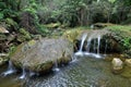 Sierra Rosario Biosphere Reserve, Pinar del Rio