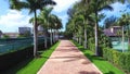 Siesta Key, Drone Flying, Palm Alley, Florida, Amazing Landscape