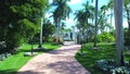 Siesta Key, Drone Flying, Palm Alley, Amazing Landscape, Florida