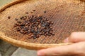 Sieving dark roasted coffee beans with threshing basket for making coffee at home