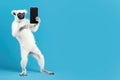 sifaka is standing with a phone on a blue background, Generative AI