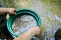 Sift and classify mineral rich soil with gold panning classifier pan.