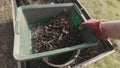 Sifting fresh compost. Separation soil and yet uncomposted parts.