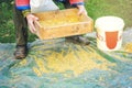 Sifting the grain through the sieve by hand