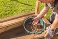 Sifting soil through a garden sieve to remove rubbish