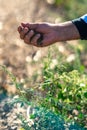 Sifting soil